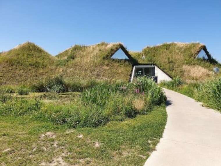 Nationaal Park De Biesbosch-5